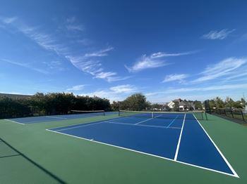 Tennis + pickleball court